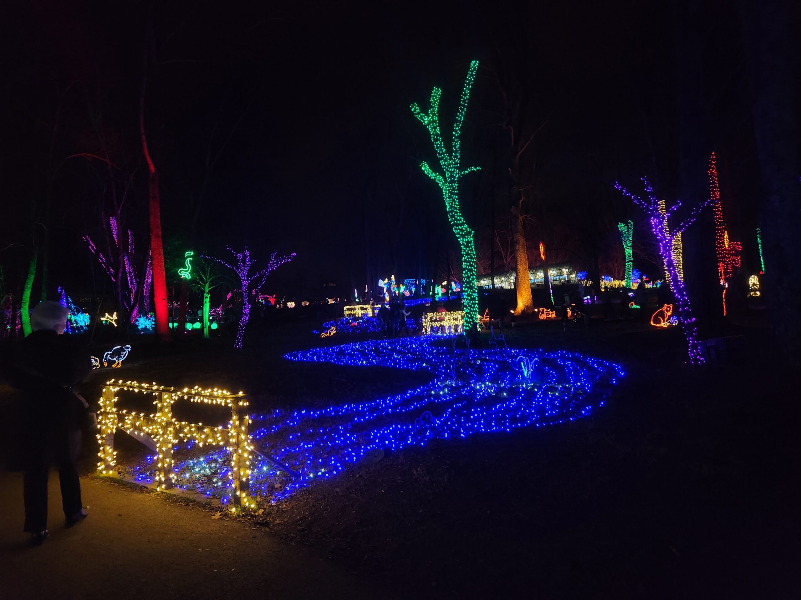 Where to See the Best Holiday Lights in Northern Virginia